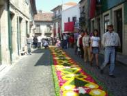 Click para ver a foto maior